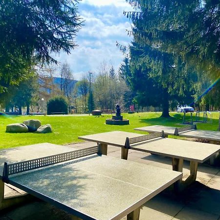 Relaxapartments Abendsonne Im Herzen Des Harzes - Ein El Dorado Fuer Wanderer, Biker Und Ruhesuchende - Mit Sonnigem Balkon Und Platz Fuer Bis Zu 3 Personen Goslar Exterior photo