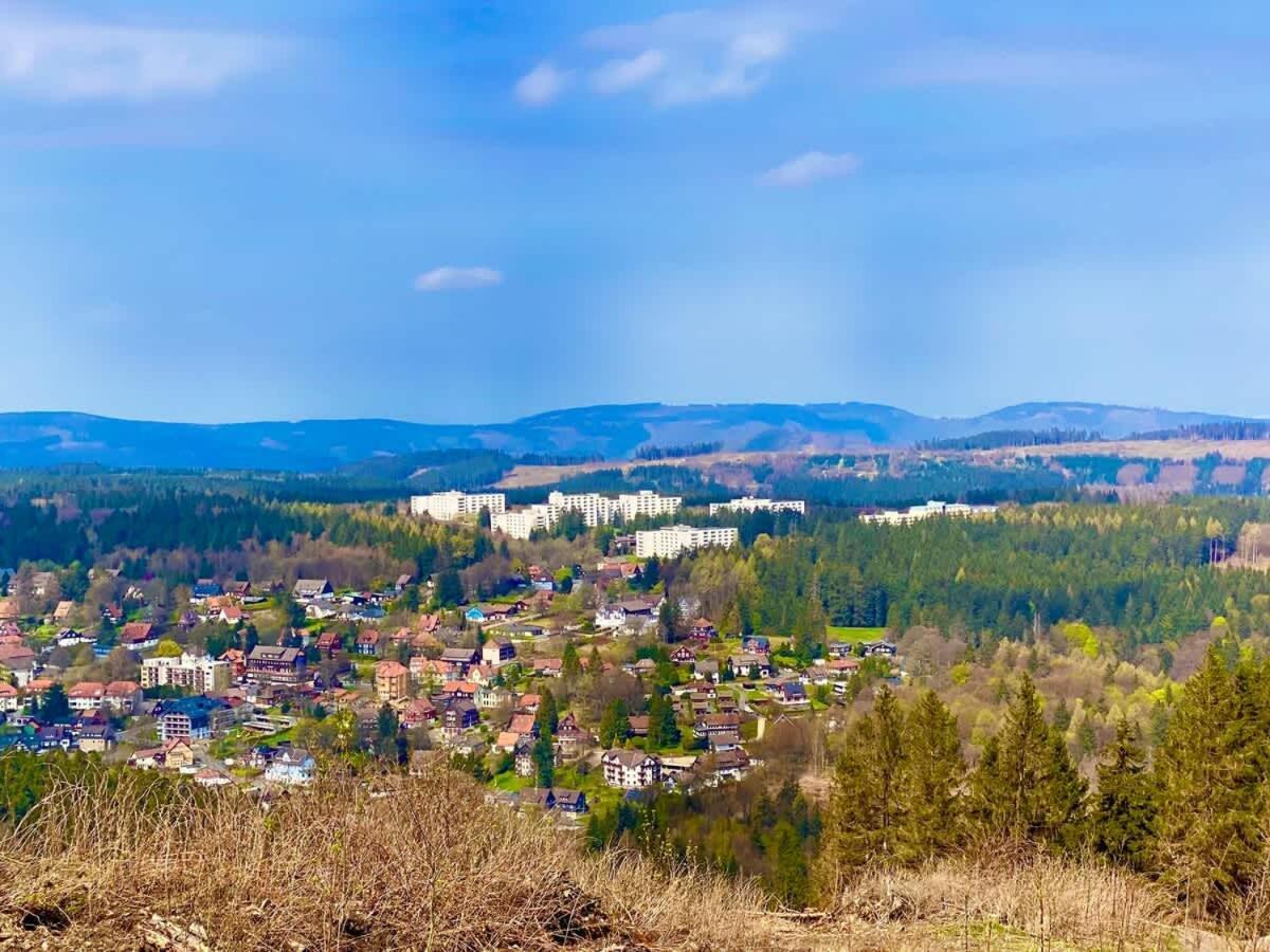Relaxapartments Abendsonne Im Herzen Des Harzes - Ein El Dorado Fuer Wanderer, Biker Und Ruhesuchende - Mit Sonnigem Balkon Und Platz Fuer Bis Zu 3 Personen Goslar Exterior photo
